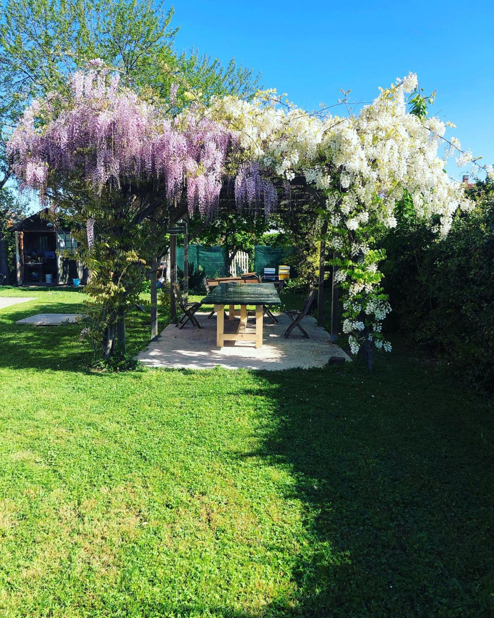 B&B Melloni Street Dolo Buitenkant foto